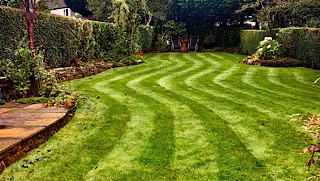 Lawn stripes in back lawn/gardencare2000/stoke on trent